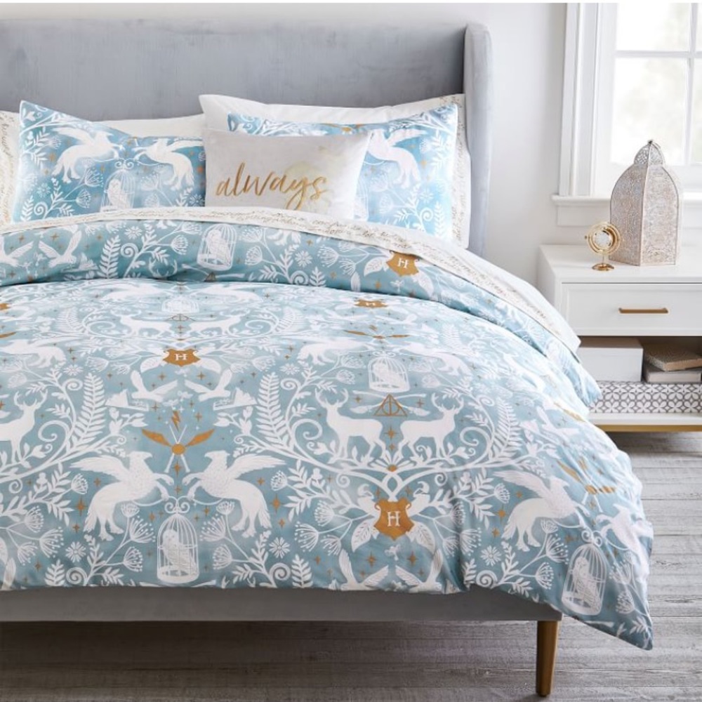 Pottery Barn Teen king duvet cover and two standard shams